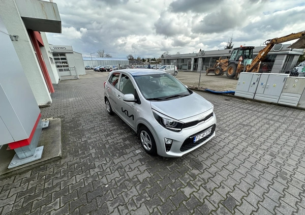 Kia Picanto cena 65900 przebieg: 1300, rok produkcji 2023 z Środa Wielkopolska małe 562